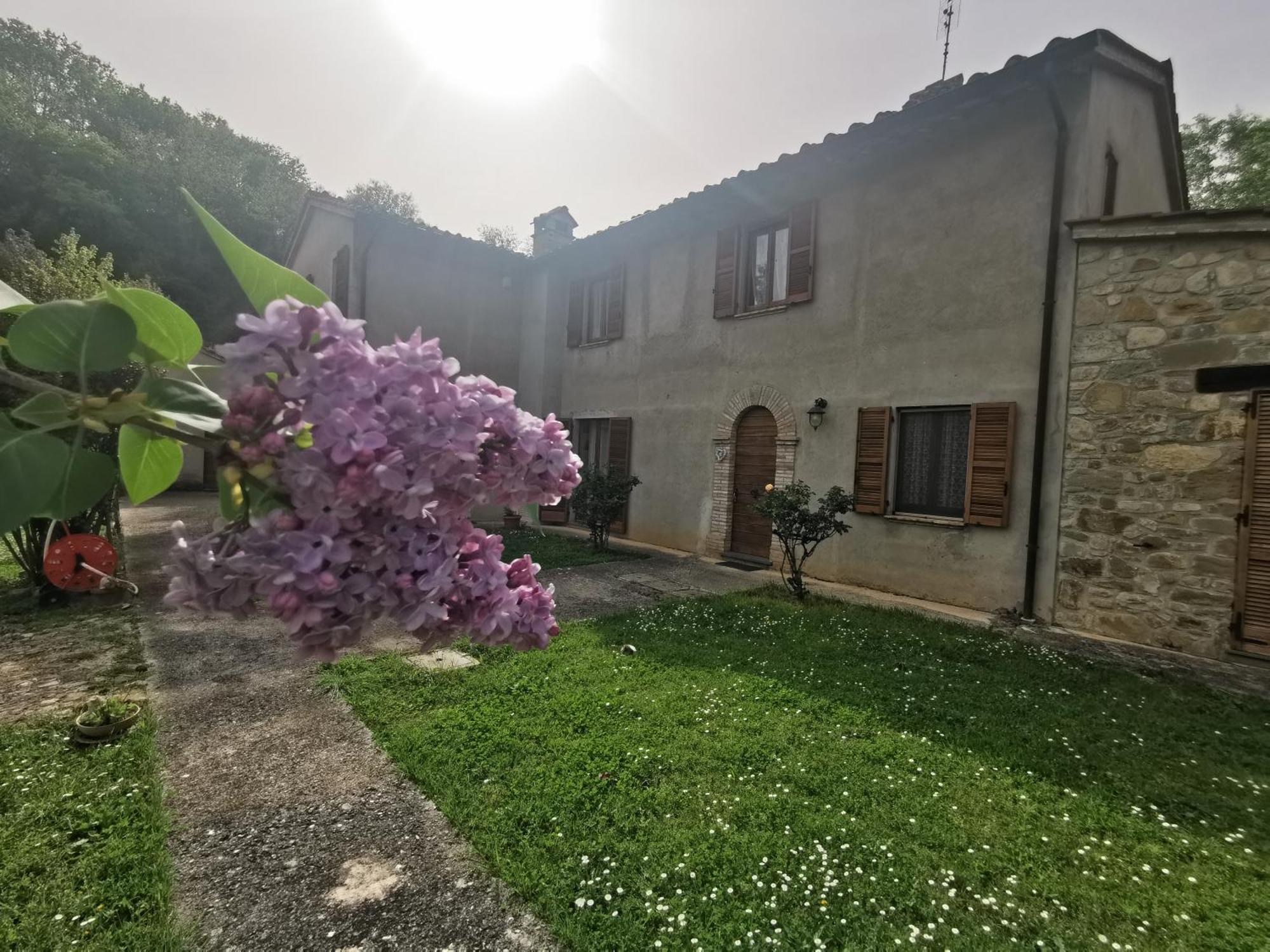 Gasthof Il Piripicchio *